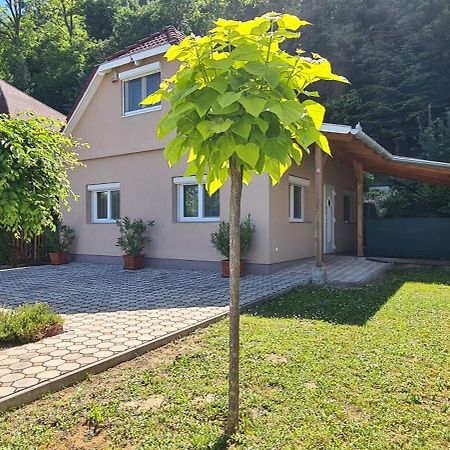 Villa Vizparti Nyaralo Fonyód Exterior foto